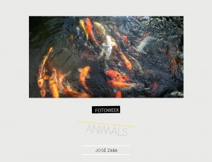 Fotoweek - Animals : José Zaba © moversinmover
