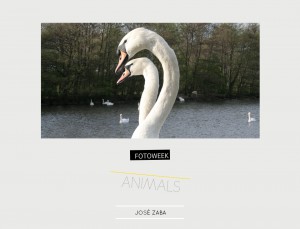 Fotoweek - Animals : José Zaba © moversinmover