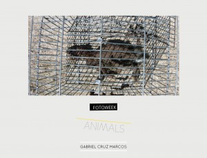 Fotoweek - Animals : Gabriel Cruz Marcos © moversinmover