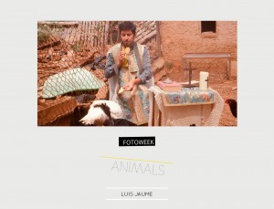 Fotoweek - Animals : Luis Jaume © moversinmover