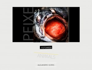 Fotoweek - Animals : Alejandro Goris © moversinmover