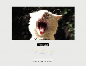 Fotoweek - Animals : Lidia Fernández Hidalgo © moversinmover