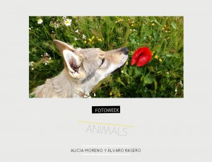 Fotoweek - Animals : Alicia Moreno y Álvaro Rasero © moversinmover