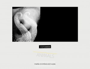 Fotoweek - Animals : María D. Alba © moversinmover