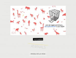 Fotoweek - Animals : Ángela de la Vega © moversinmover