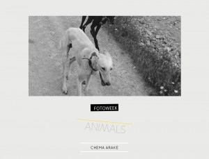 Fotoweek - Animals : Chema Arake © moversinmover