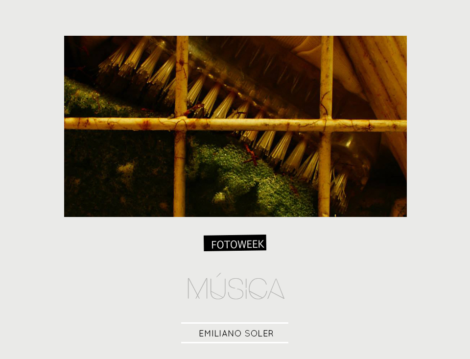Fotoweek - Música : Emiliano Soler © moversinmover