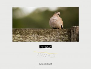Fotoweek - Animals : Carlos Idiart © moversinmover