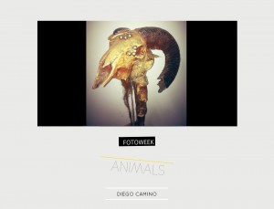 Fotoweek - Animals : Diego Camino © moversinmover