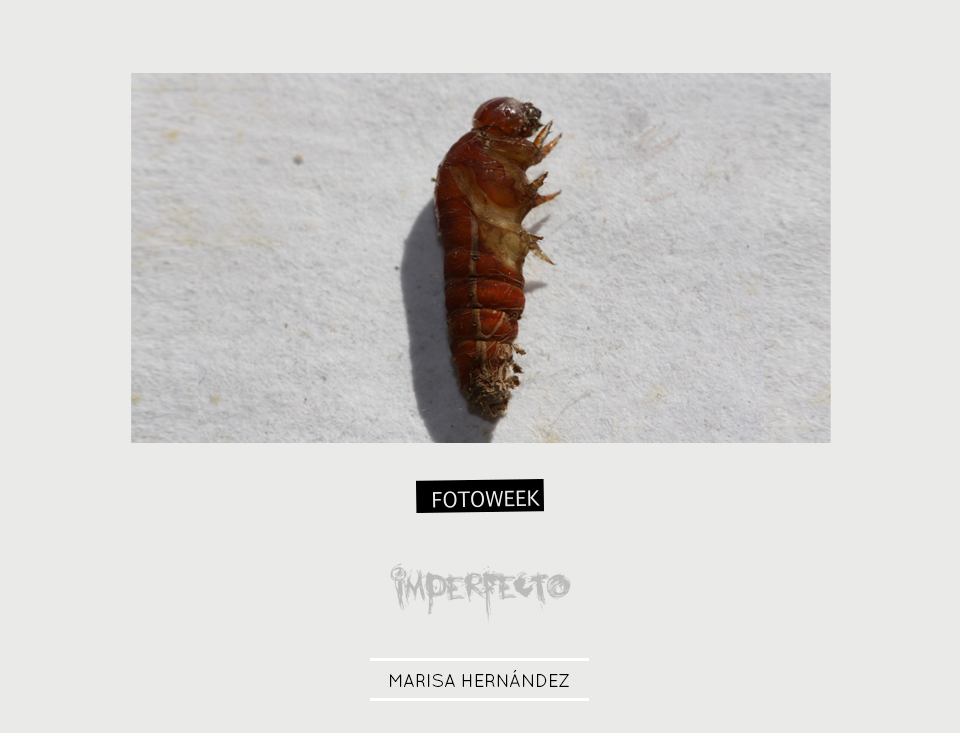 Fotoweek - Imperfecto : Marisa Hernández © moversinmover