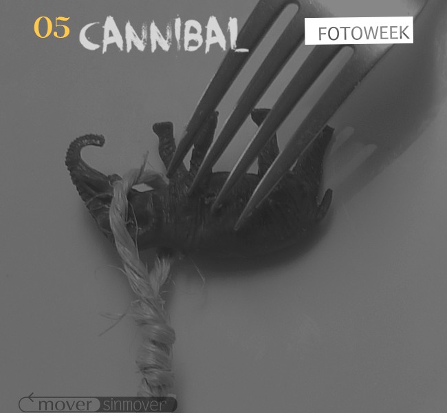 Galería online: Fotoweek - Cannibal © moversinmover